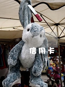 信用卡 逾期 上法院 不去 信用卡 逾期 上法院 不去